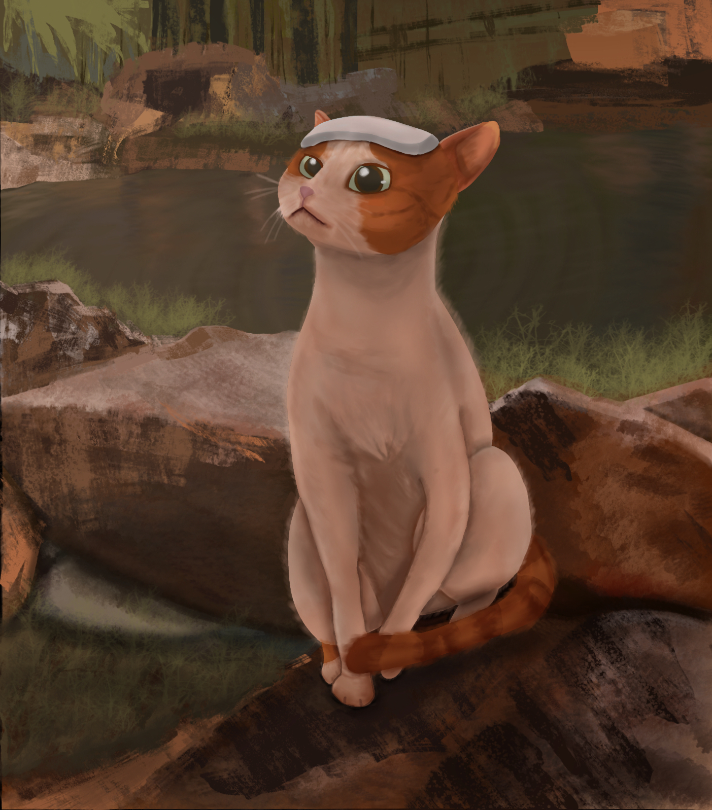 (signed) This Is Not What Thought / Yuri Hasegawa